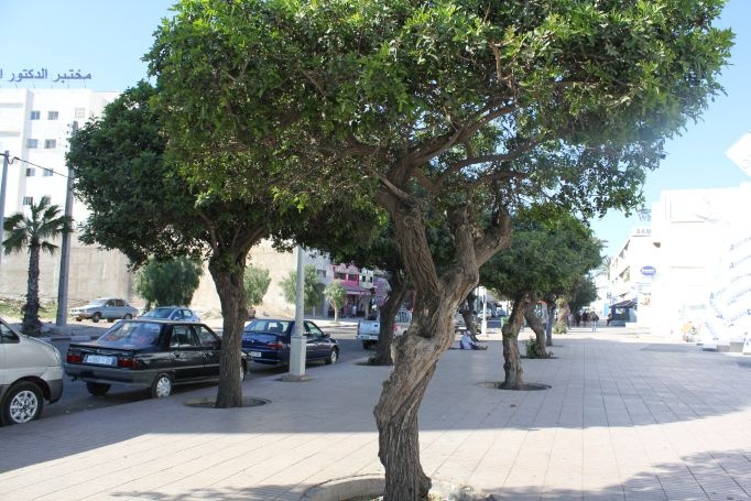 A day at the Beach in Agadir, Marokko