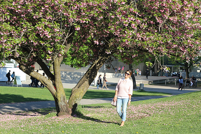 münchen sommer olympia park