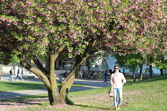 Olympia Park München