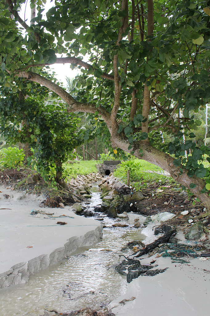 fluss in bintan island