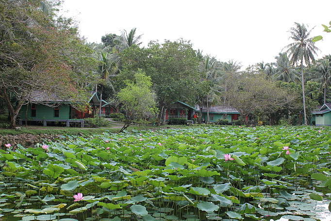 resort in bintan island