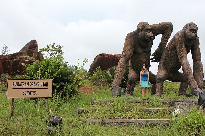 orang utan aus stein